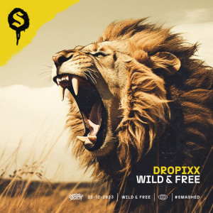 Listen to Wild & Free song with lyrics from DROPiXX