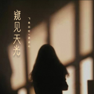 อัลบัม 窥见天光 ศิลปิน 飞鱼出听