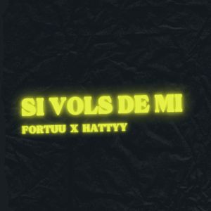 Listen to Si vols de mi song with lyrics from Fortuu