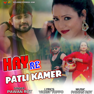 收听Pawan Roy的Hay Re Patli Kamer歌词歌曲