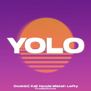 Listen to YOLO song with lyrics from Ronnie Villa