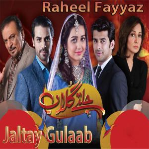 Raheel Fayyaz的專輯Jaltay Gulaab