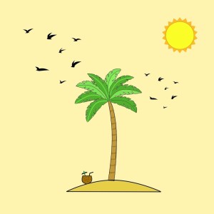 Album Birds and Samba from Cäsp.
