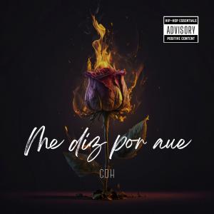 收聽Lu Cena的Me Diz Por Que (feat. Caçadores De Harmonia)歌詞歌曲