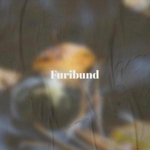 อัลบัม Furibund ศิลปิน Various Artists