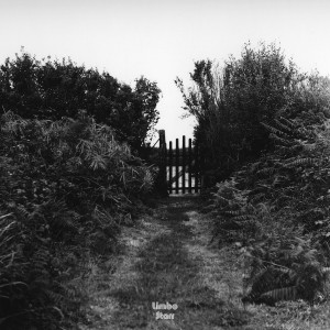 收聽Modelo de Respuesta Polar的En Adelante歌詞歌曲