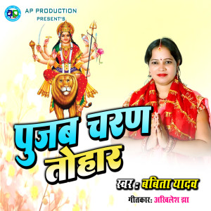Listen to Pujab Charan Tohar song with lyrics from Babita Yadav