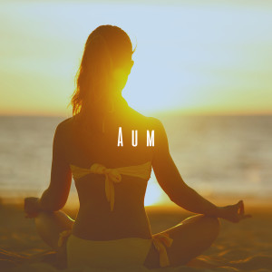 Listen to Escape Reality song with lyrics from Pranayama Flutes