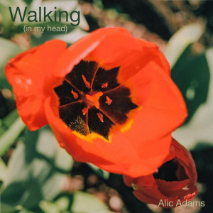 收听Alic Adams的Walking (In My Head) (Explicit)歌词歌曲