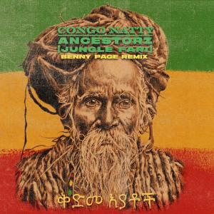 Ancestorz (Jungle Fari) (Benny Page Remixes)