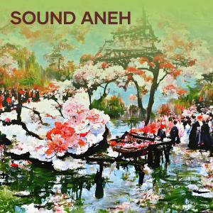 Smvll的专辑Sound Aneh