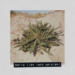 Listen to Sorry (Jan Roth Version) song with lyrics from Dakota