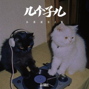 Album 几个子儿（小乔摇DJ版） from DJ铁柱