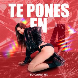 Album Te Pones En 4 (feat. Bebo Yau) (Explicit) from Bebo Yau