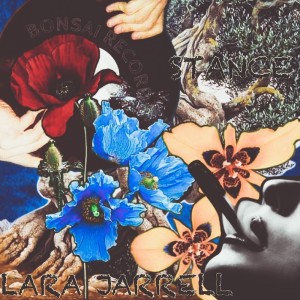 Listen to Slow Burning song with lyrics from Lara Jarrell