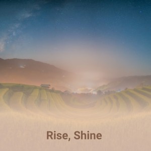 Listen to Rise, Shine song with lyrics from Four Knights