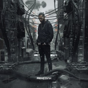 收听Prince Husein的Skywalker歌词歌曲