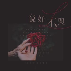 收聽L（桃籽）的説好不哭歌詞歌曲