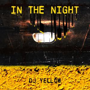 DJ Yellow的專輯In the Night