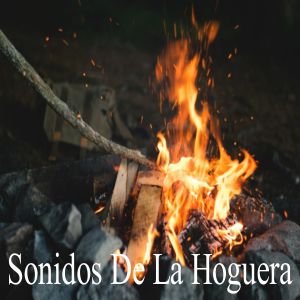 收听Relajación的Sonidos Suaves歌词歌曲