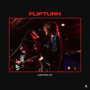 Listen to Did I Love You (Audiotree Live Version) song with lyrics from flipturn