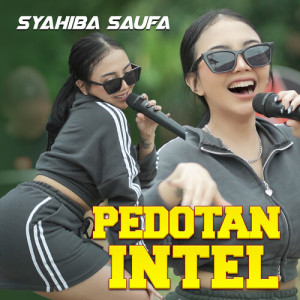 Syahiba Saufa的專輯Pedotan Intel