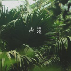 收聽張酷的啊靖歌詞歌曲