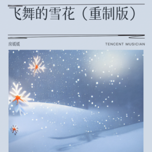 Listen to 飞舞的雪花 (伴奏) song with lyrics from 苏文德