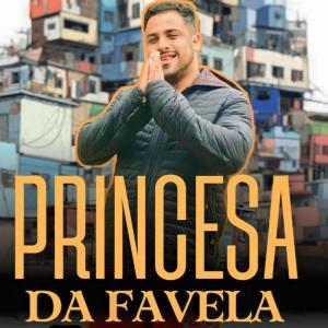 Album Princesa da Favela (Remix) (Explicit) from 
