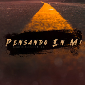 Listen to Pensando En Mi song with lyrics from Skarlet