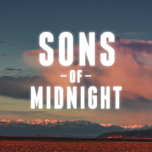 ดาวน์โหลดและฟังเพลง Stand up for Love พร้อมเนื้อเพลงจาก Sons Of Midnight
