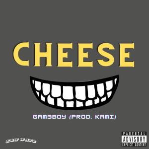 ดาวน์โหลดและฟังเพลง Cheese (Explicit) พร้อมเนื้อเพลงจาก Gam3boy