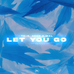 Listen to Let You Go song with lyrics from Tc-5