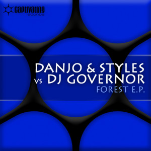 Listen to Blue Woods (Original Mix) song with lyrics from Danjo