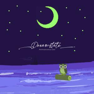 Listen to Dreamstate (Hackmon Remix) song with lyrics from Animatronics Owl