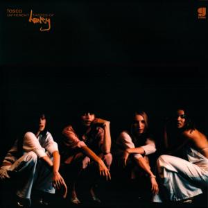 Album Different Tastes of Honey (Continuous Mix) from Tosca