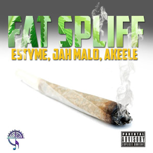 Jah Malo的专辑Fat Spliff (Explicit)