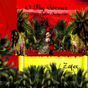 Album O Hiç Görmez (Daddy's Airport Radyo Edit) from Zafer