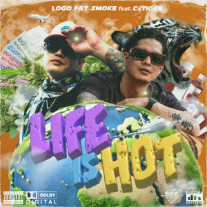 Album LIFE IS HOT (feat. CzTIGER) from LOGO FAT SMOKE