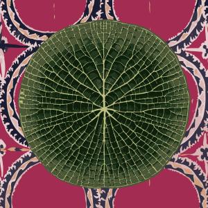 Dengarkan lagu É liberdade de expressão nyanyian Guaraci dengan lirik