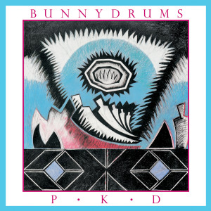 收聽Bunnydrums的Little Room歌詞歌曲