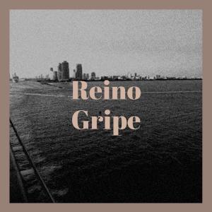 Listen to Reino Gripe song with lyrics from Salla Keio