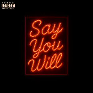 Listen to Say You Will (Explicit) song with lyrics from Sney