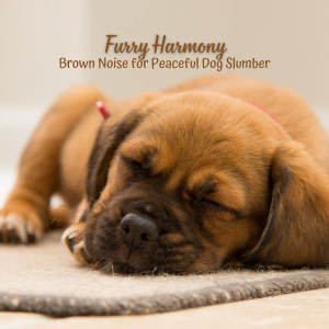Furry Harmony: Brown Noise for Peaceful Dog Slumber dari Relaxing Dogs