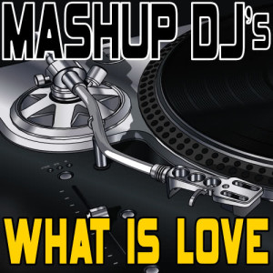 ดาวน์โหลดและฟังเพลง What Is Love (Acapella Mix) [Re-Mix Tool] (Re-Mix Tool) พร้อมเนื้อเพลงจาก Mashup DJ's