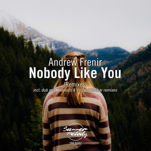 收聽Andrew Frenir的Nobody Like You (T Davids Remix)歌詞歌曲