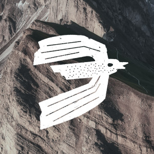 Album The Mountain from TRIGAIDA
