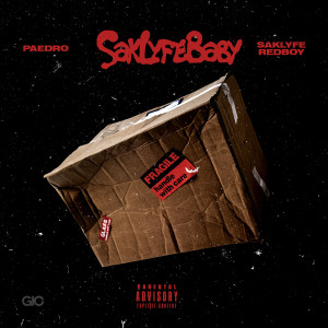 Paedro的专辑SakLyfe Baby (Explicit)