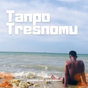Dengarkan Tanpo Tresnomu (Acoustic) lagu dari Andre Witjaksono dengan lirik
