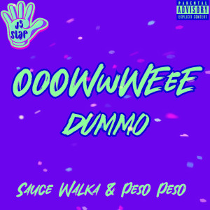 Album Ooowwweee Dummo (Explicit) from J5 Slap